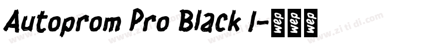 Autoprom Pro Black I字体转换